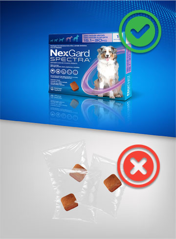 NexGard chew for dog