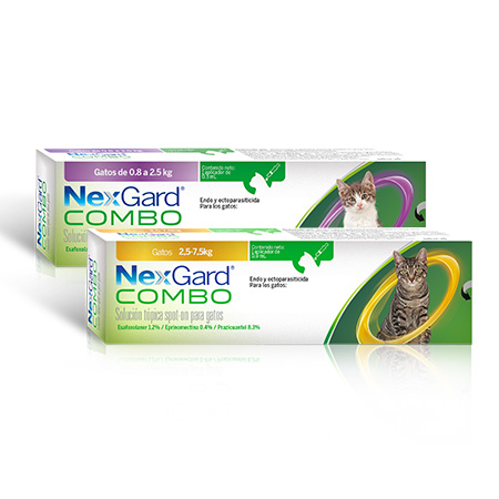 NexGard Combo