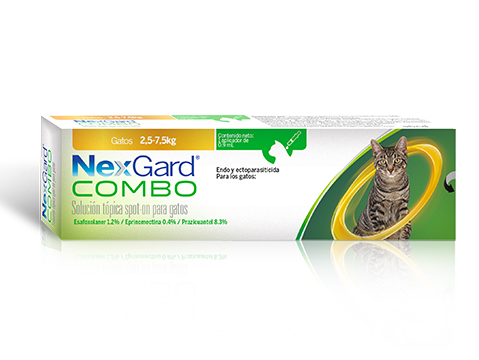 NexGard Combo gato